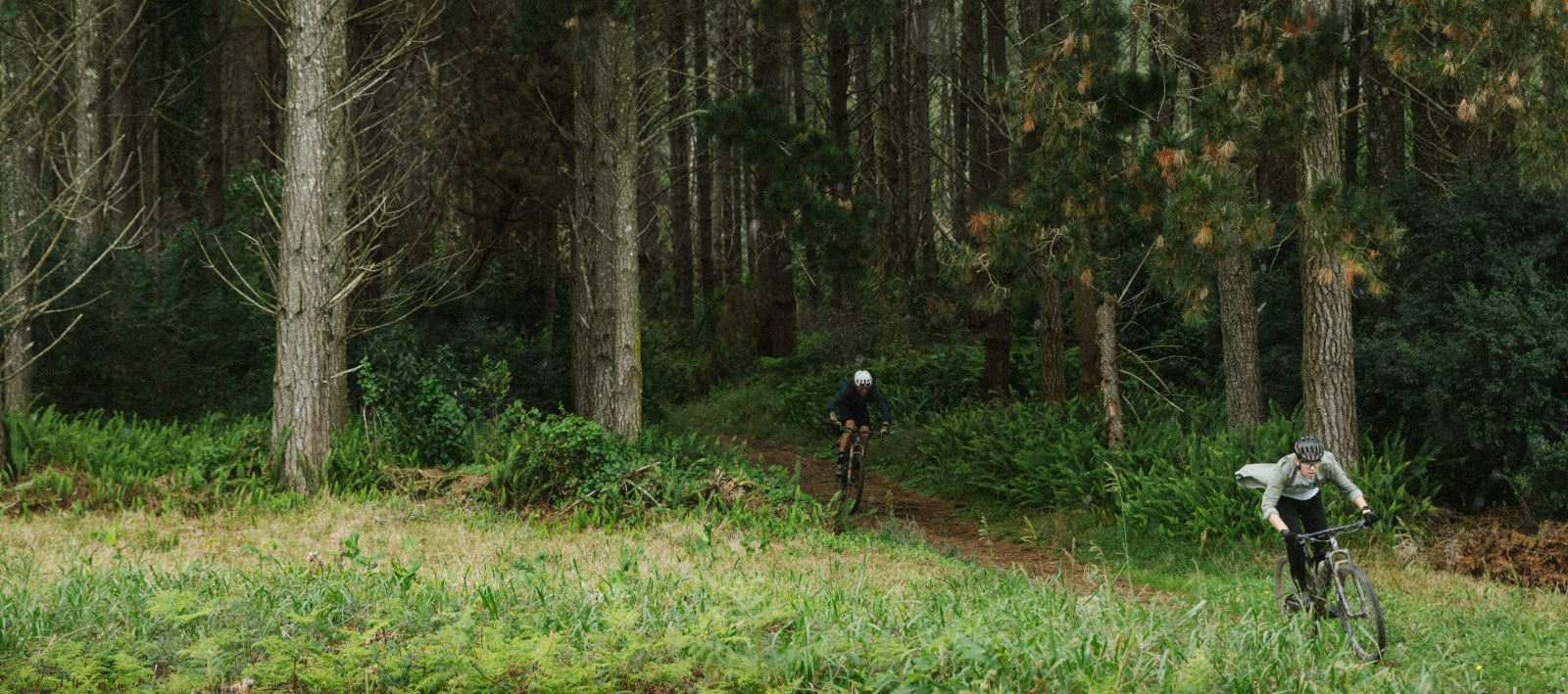 Winter Trail Collection