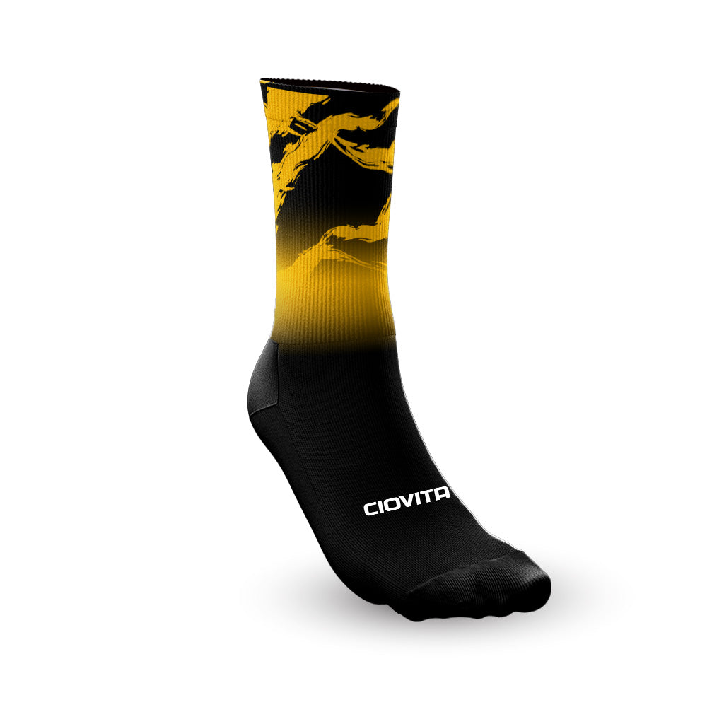 Absa Cape Epic Amabubesi Socks